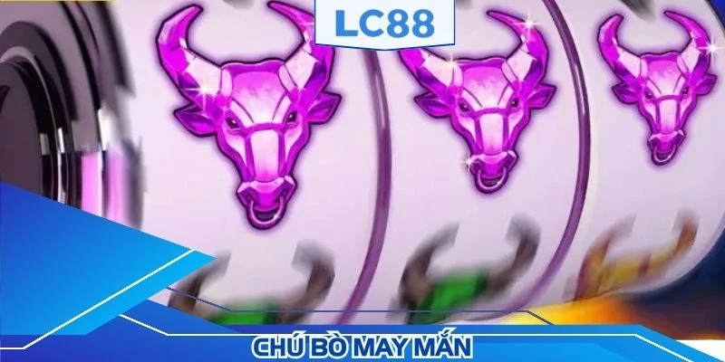 Chú bò may mắn