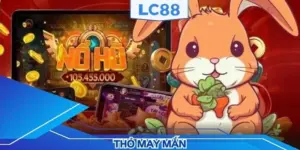 Thỏ may mắn